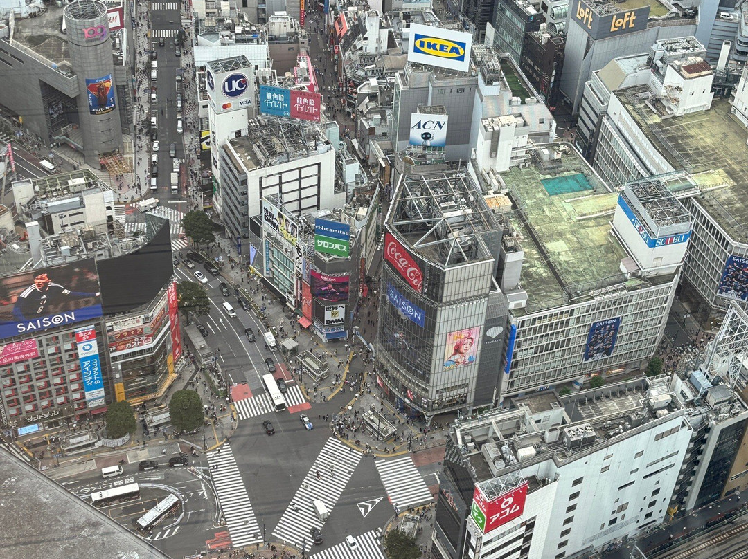 Shibuya Sky-涩谷区必去景点
