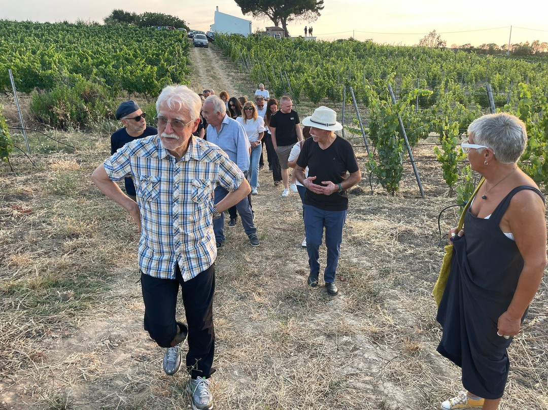 Azienda Vitivinicola MODE-Sennori必去景点