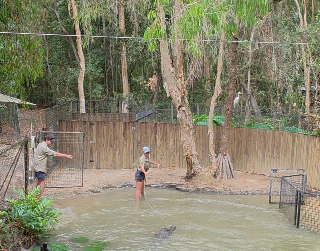Hartley's Crocodile Adventures-Wangetti必去景点