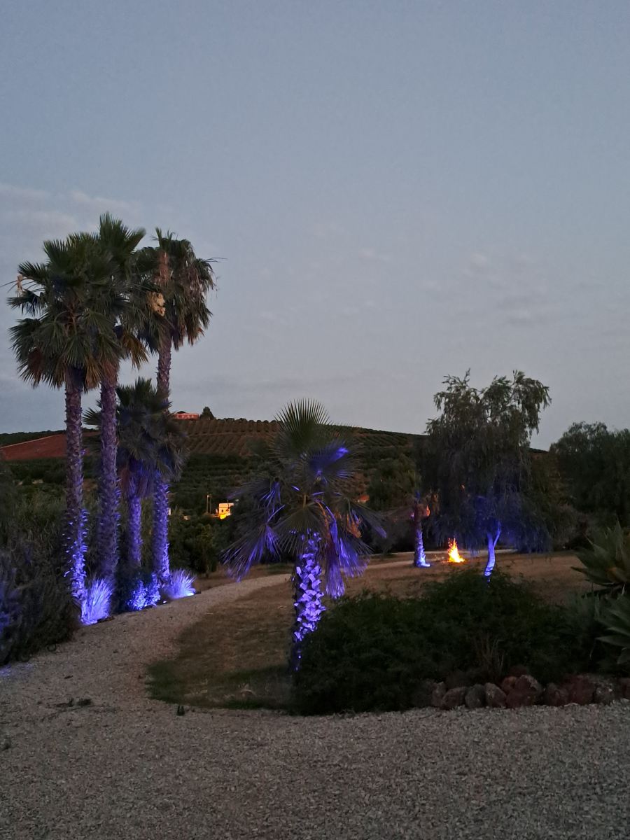 Quinta da Luz - 高级精品B&B-旅行者