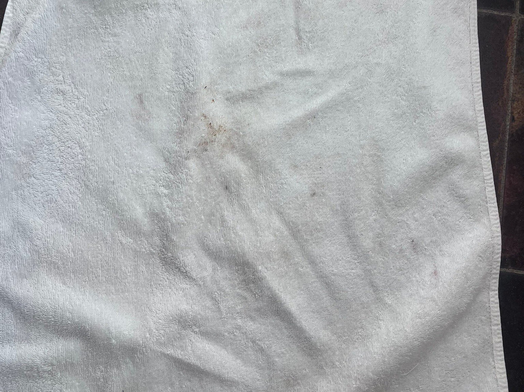 快乐的大水手主图