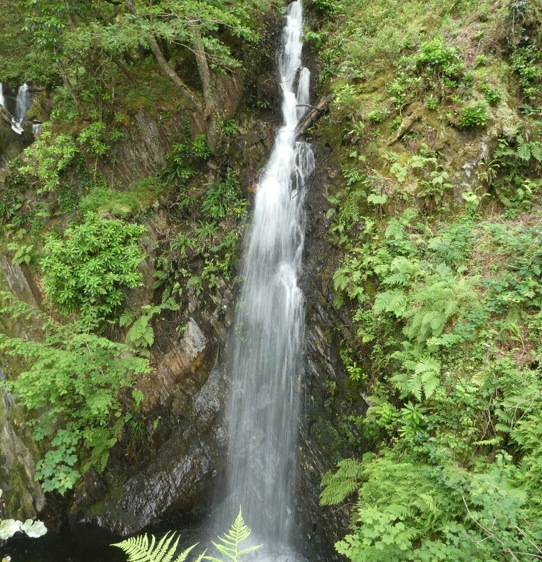 Devil's Bridge Waterfalls-Devil's Bridge (Pontarfynach)必去景点