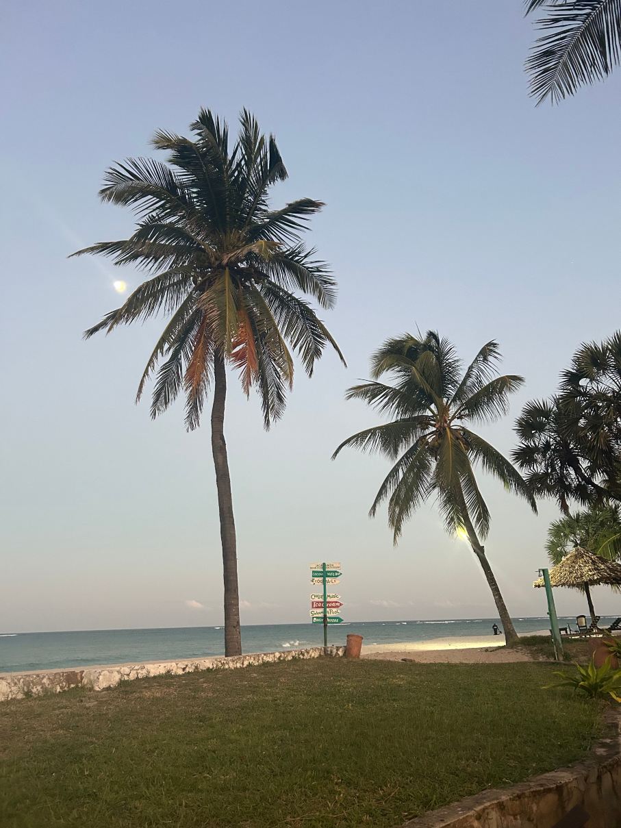 蓝花楹印度洋海滩度假村-旅行者