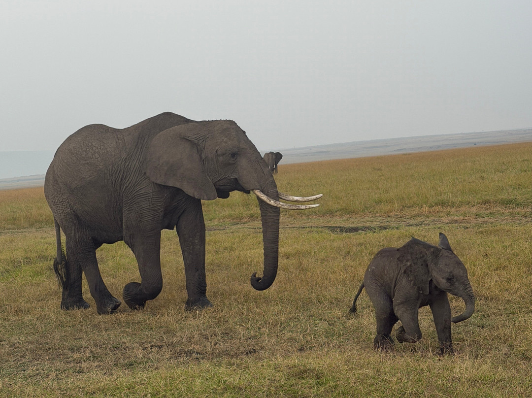 Brighte Maasai Adventures-Mara North Conservancy必去景点