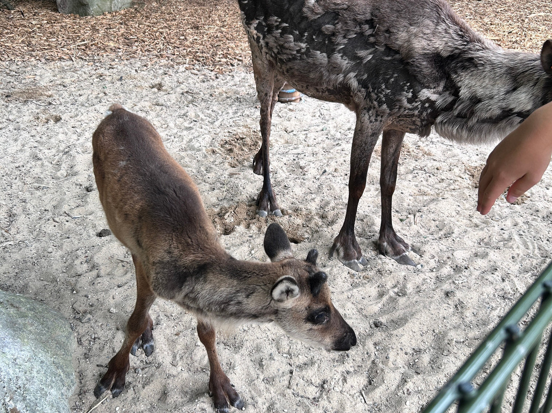 Aalborg Zoologiske Have-奥尔堡必去景点