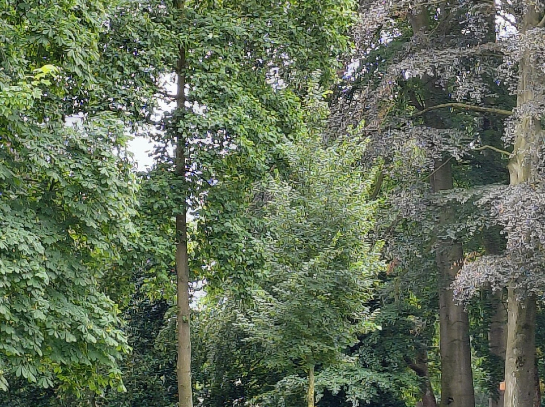 Stadspark Valkenberg-布雷达必去景点