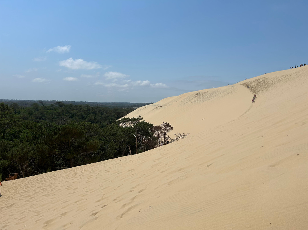 Great Dune of Pilat-拉泰斯特德比克必去景点