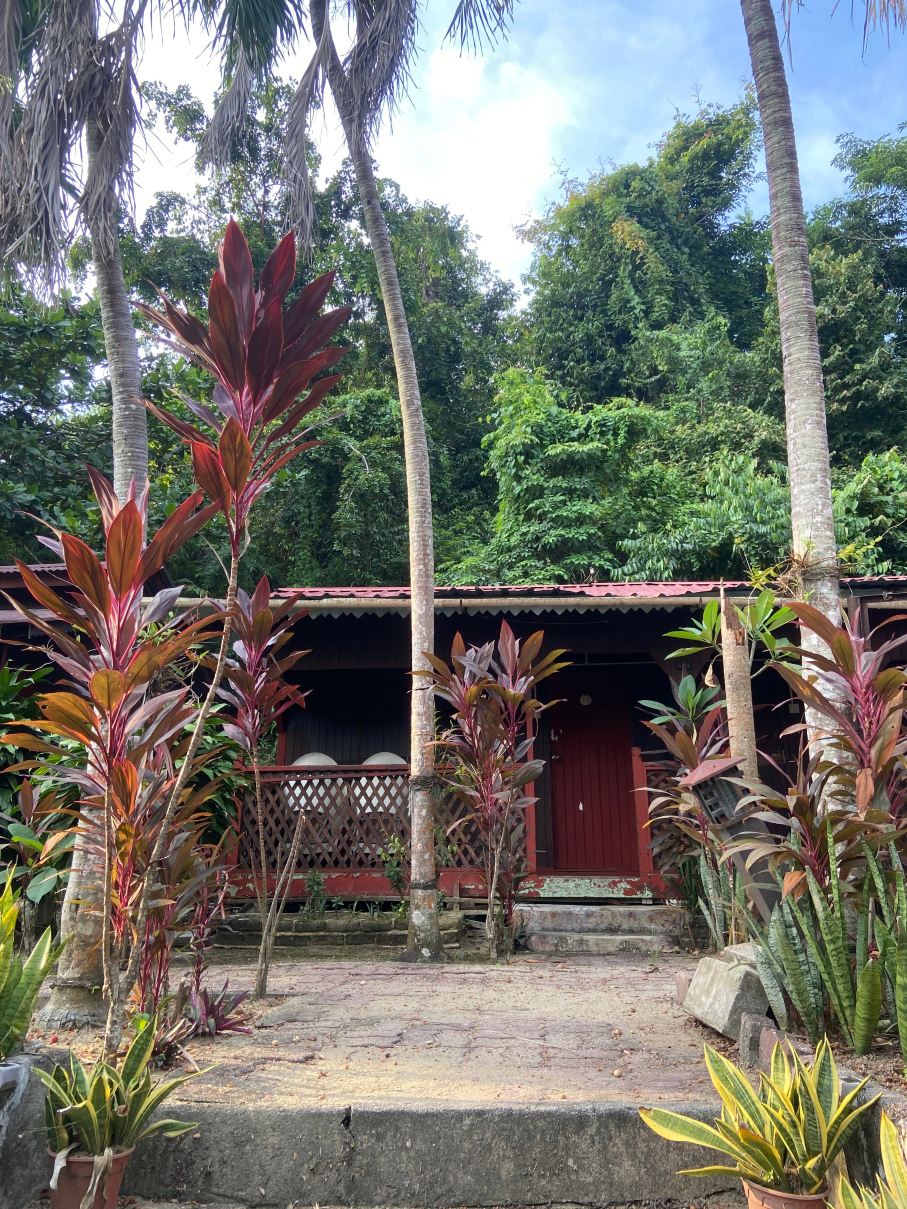 纳兹里尼帕营地-旅行者