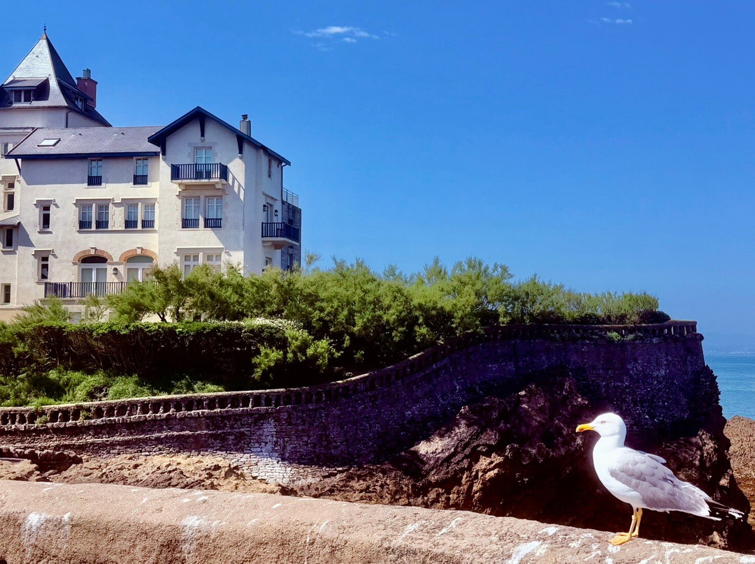 Plage Port-Vieux de Biarritz-比亚里茨必去景点