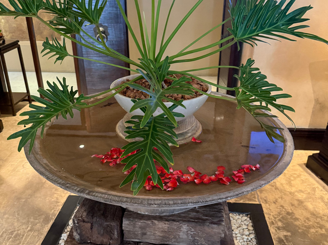 布拉莎丽水疗-芭东海滩必去景点