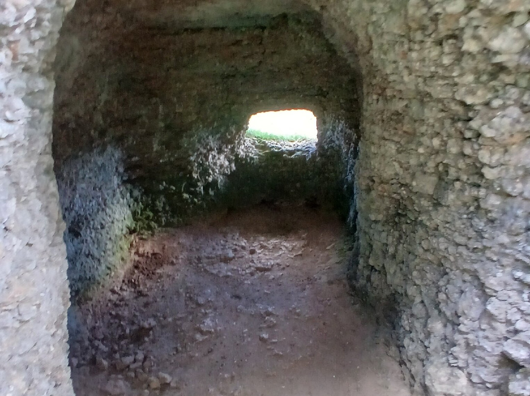 Parco Naturale Regionale della Lessinia-Bosco Chiesanuova必去景点