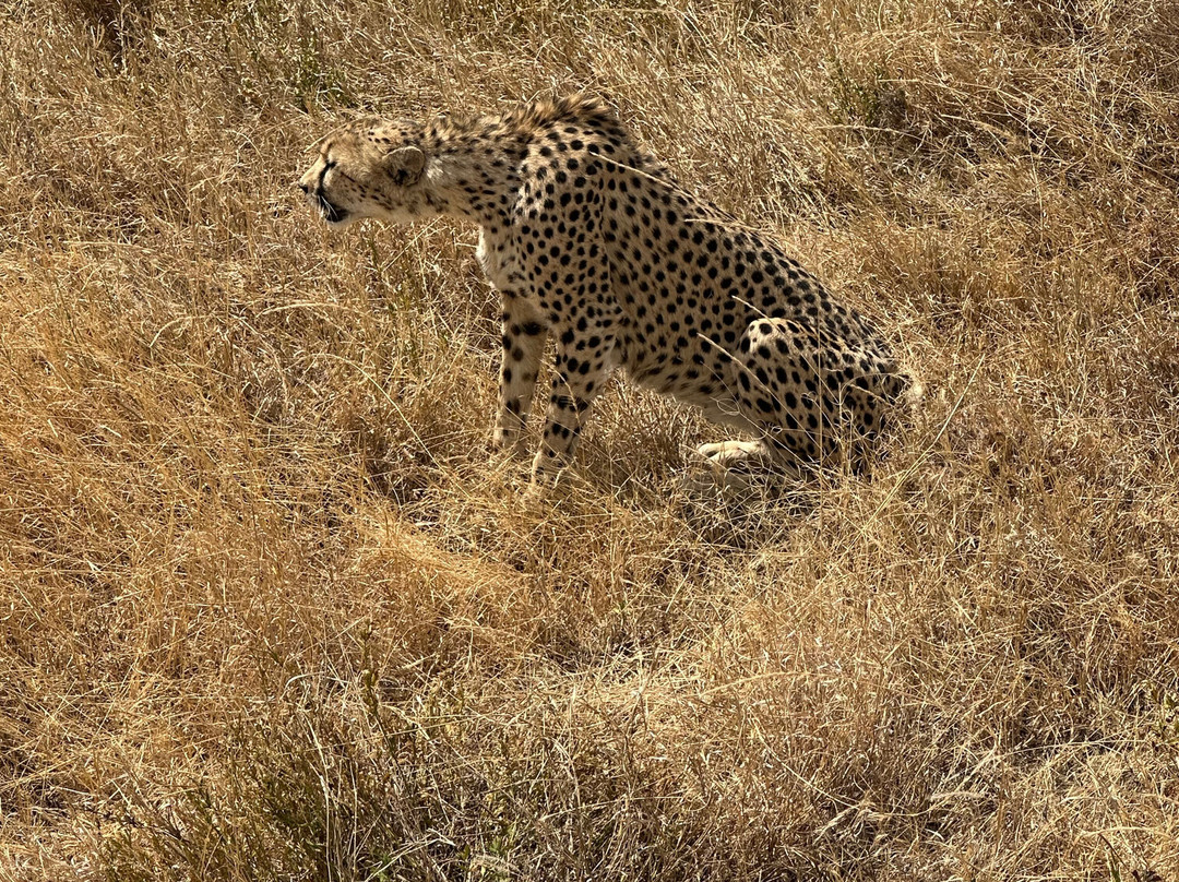 BADGER ADVENTURES TOURS & SAFARI-Arusha Chini必去景点