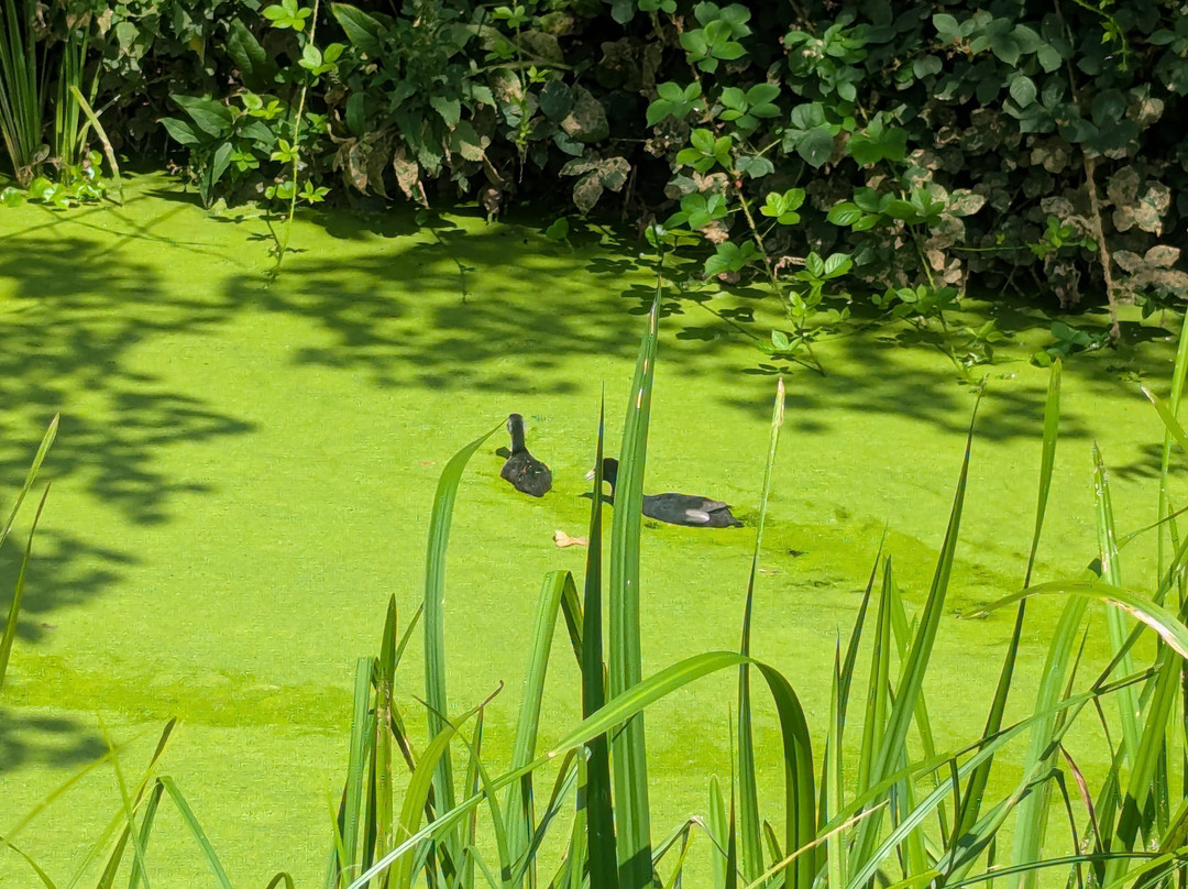 Walthamstow Wetlands-伦敦必去景点