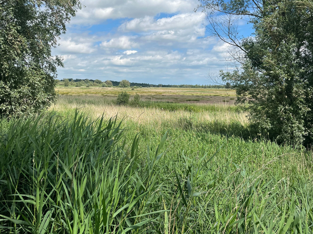 Carlton Marshes Nature Reserve-Carlton Colville必去景点
