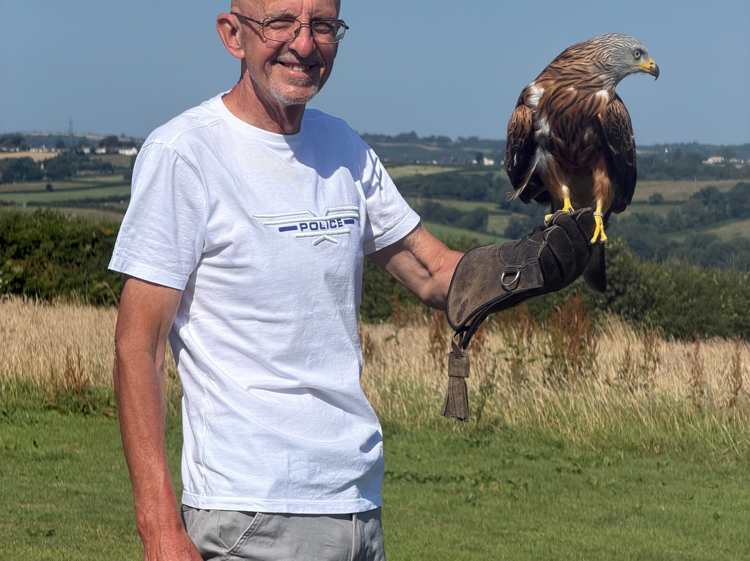 The British Bird of Prey Centre-喀麦登必去景点