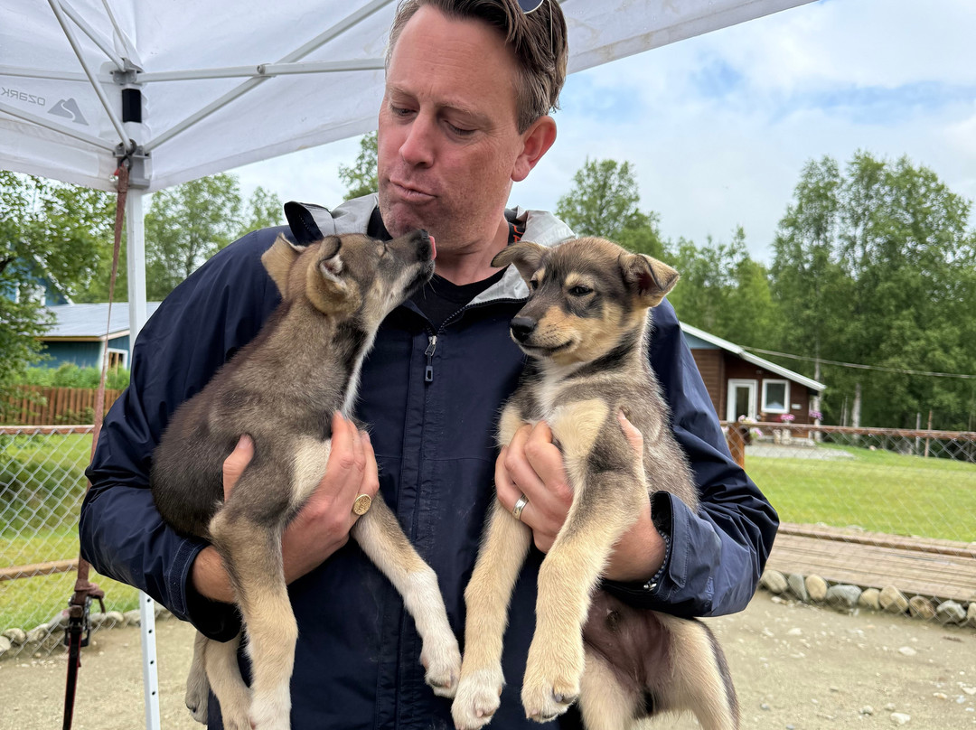 Alaskan Husky Adventures-Willow必去景点