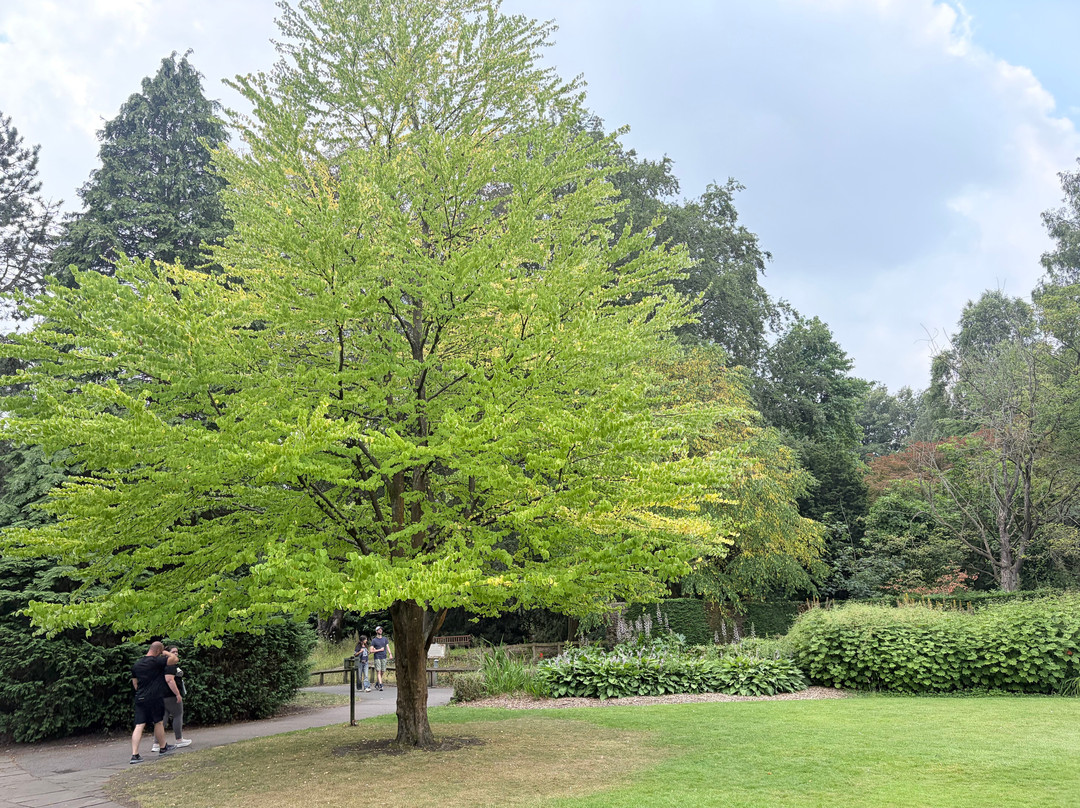 Walton Hall And Gardens-沃灵顿必去景点