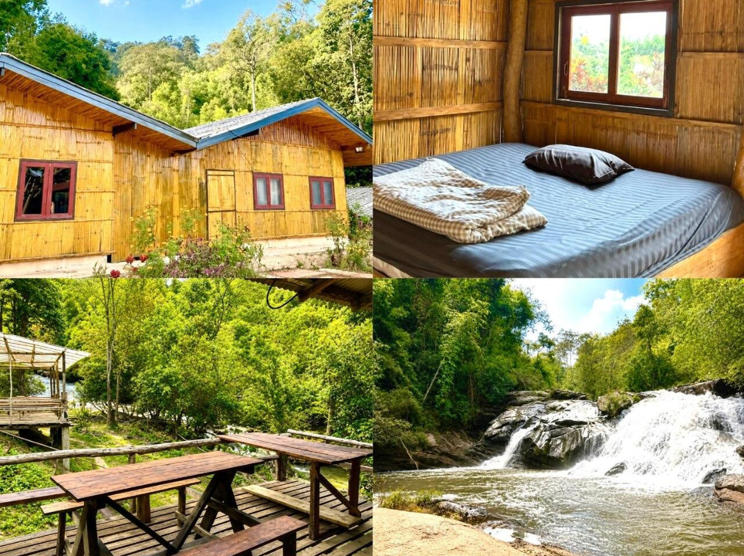 Sunny Jungle Waterfall Retreat
