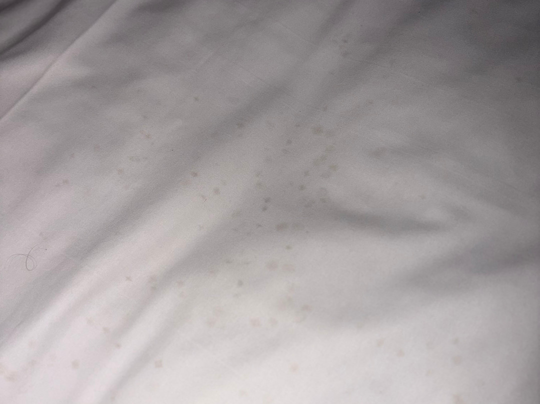 伯明翰邓洛普堡旅屋酒店主图