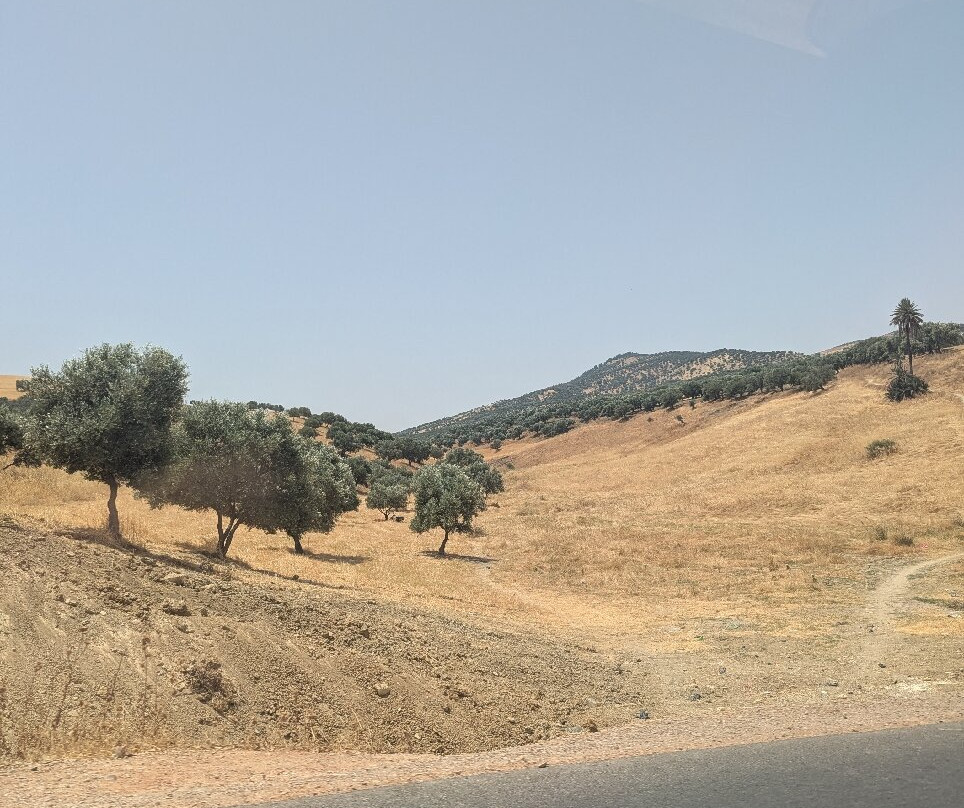 Fes Excursion Day Tours-非斯必去景点
