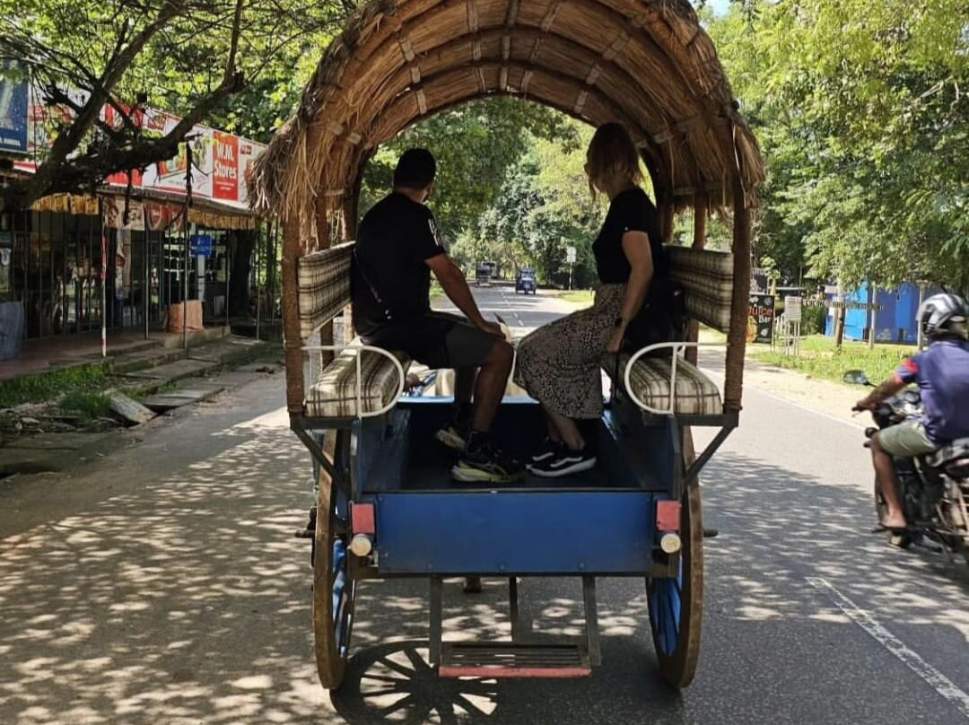 Ella Excursions And Tours-埃勒必去景点