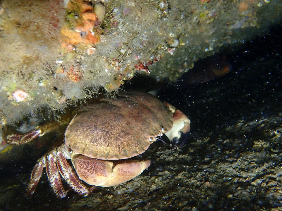 Dive Aran-Inishmore必去景点