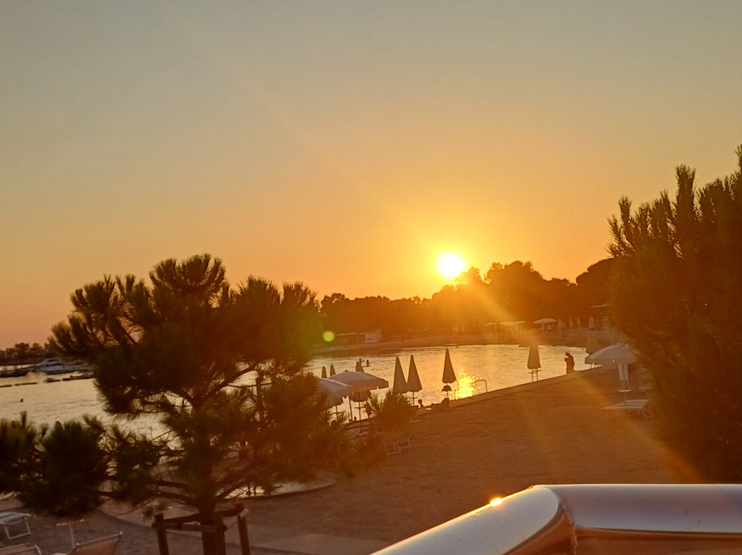 Zaton Holiday Resort 4 Star Apartments主图