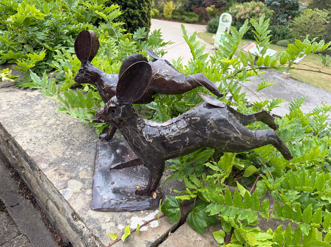 RHS Garden Harlow Carr-哈罗盖特必去景点