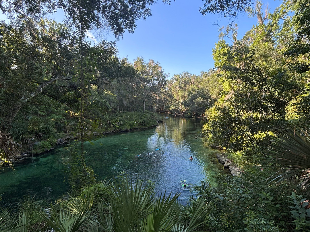 Blue Spring State Park-橙县必去景点