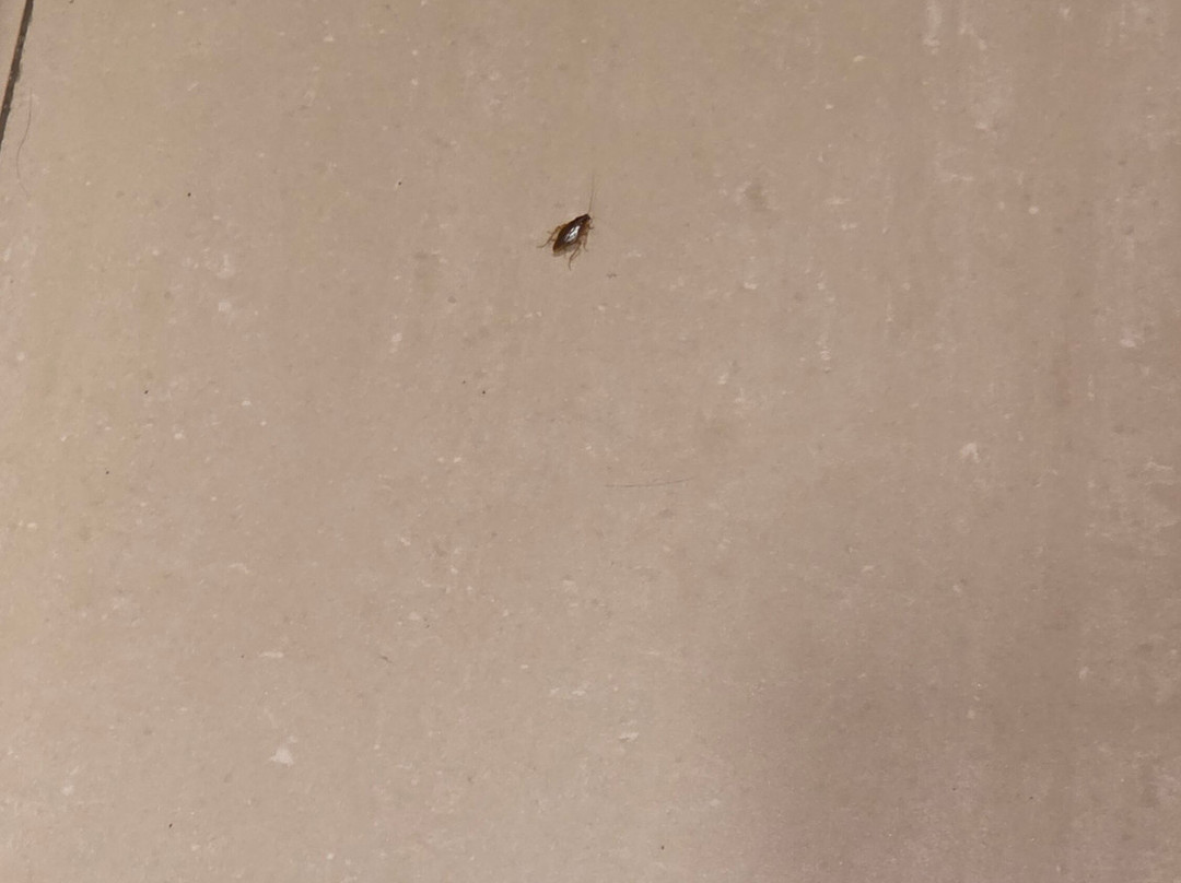 莎阿南阿卡贝拉套房酒店主图
