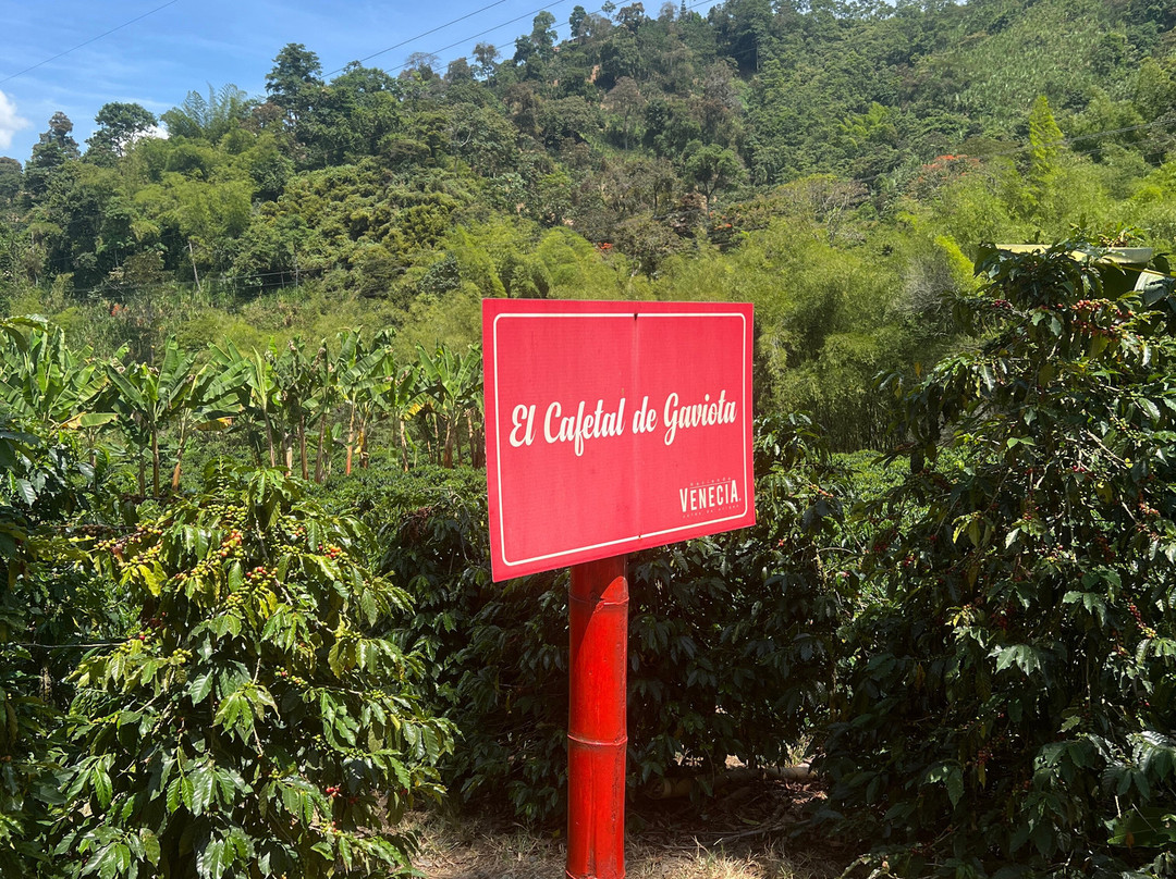 Hacienda Venecia Hostel主图