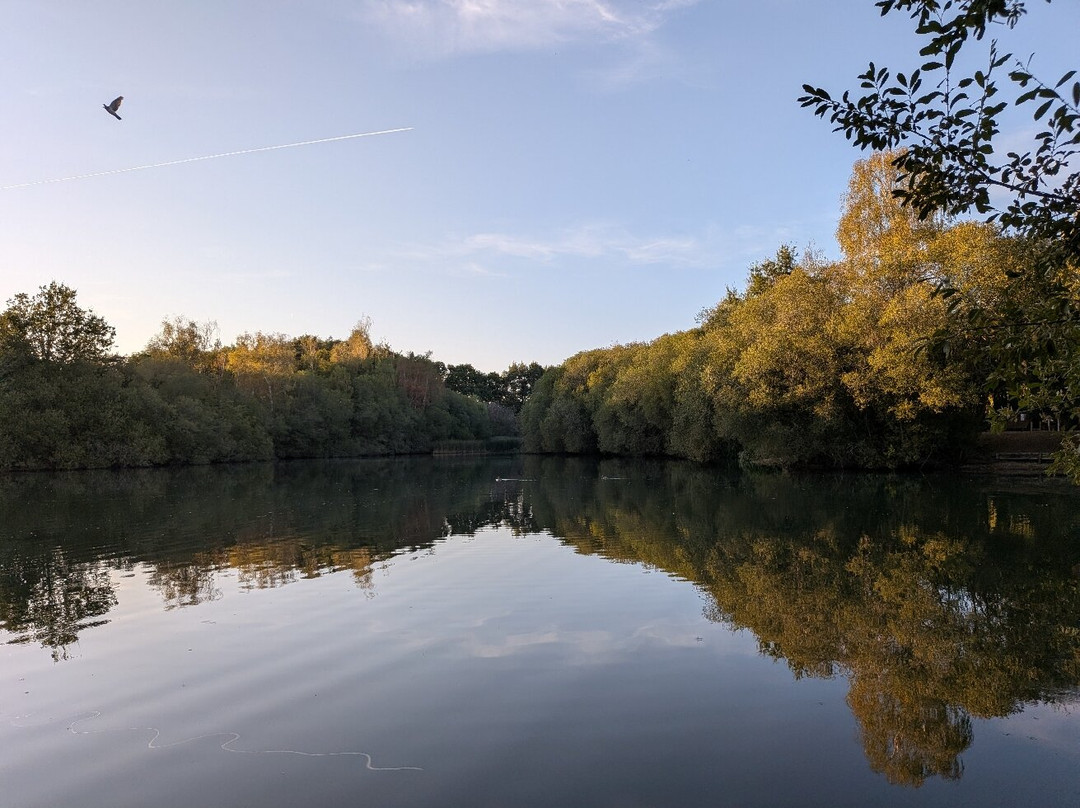 Wellington Country Park-雷丁必去景点