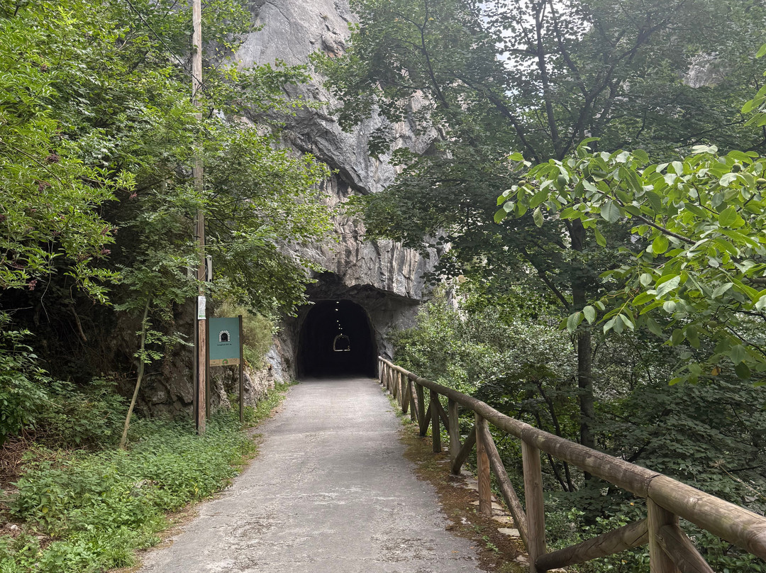 Senda Del Oso Experience - Teverastur-Teverga Municipality必去景点