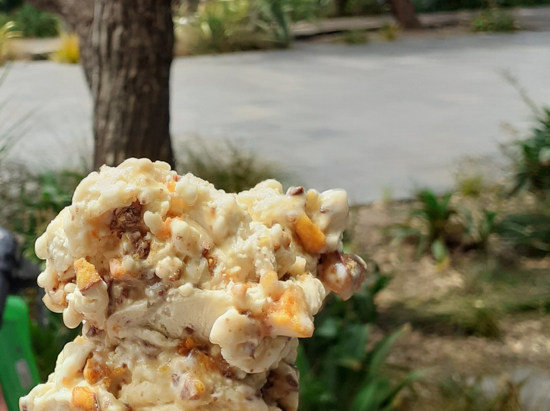 Creamo's Ice Cream Club