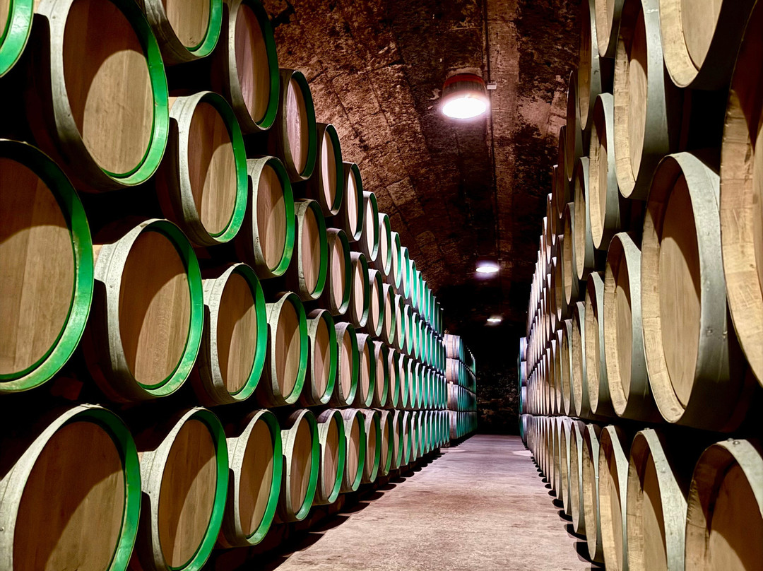 Bodegas Marques de Riscal-Elciego必去景点