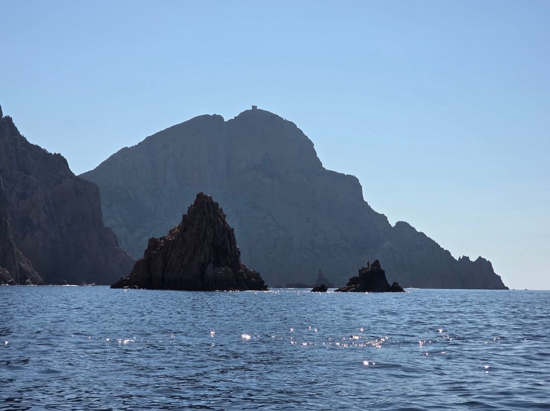 Orcino Croisieres