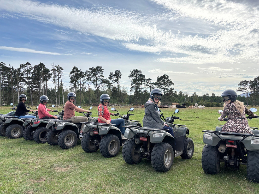 Quad Bike Treks-阿维莫尔必去景点