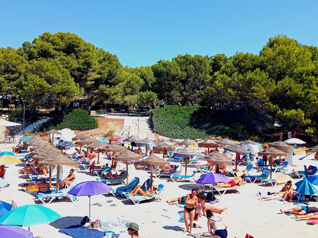 Globales Cala Blanca主图