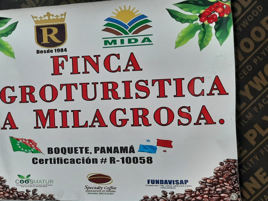 Cafetales Don Alfredo - La Milagrosa Coffee Tour-波魁特必去景点