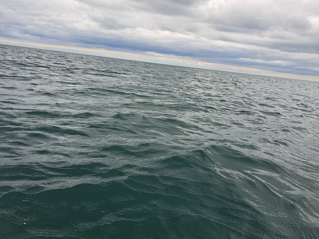Carnlough Bay Boat Tours-Carnlough必去景点
