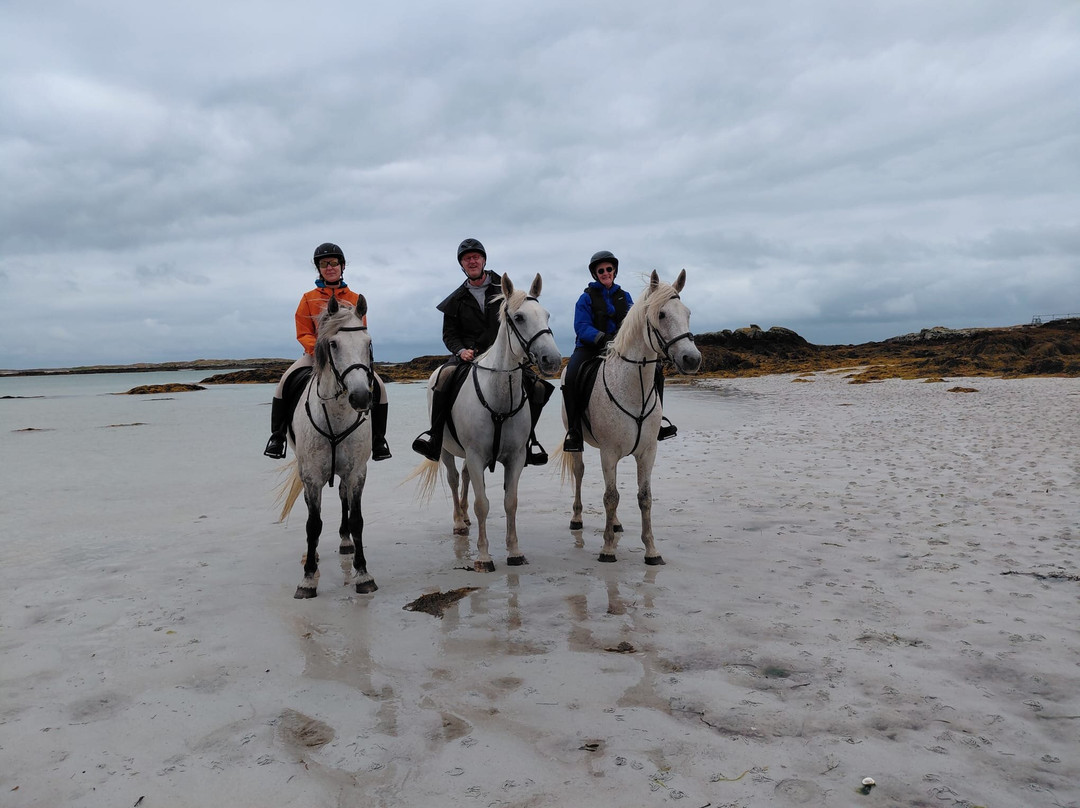 Connemara Equestrian Escapes-Moycullen必去景点
