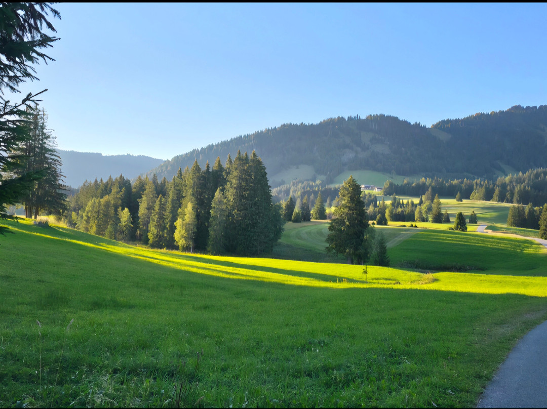 Ruhehotel & Naturresort Rehbach - Adults Only主图