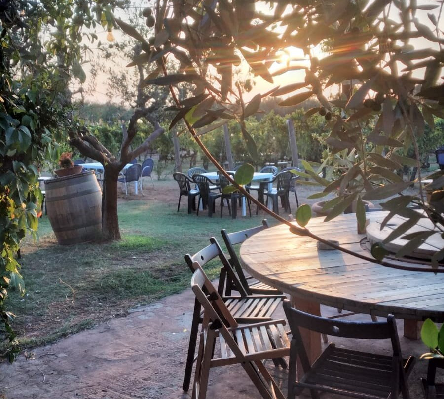 Lq - Le Querce - Wine Tasting-Campiglia Marittima必去景点