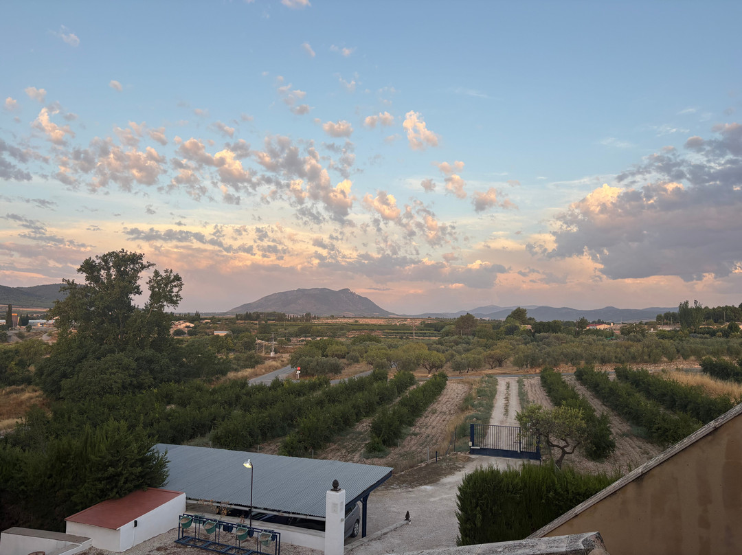 Restaurante El Zorro