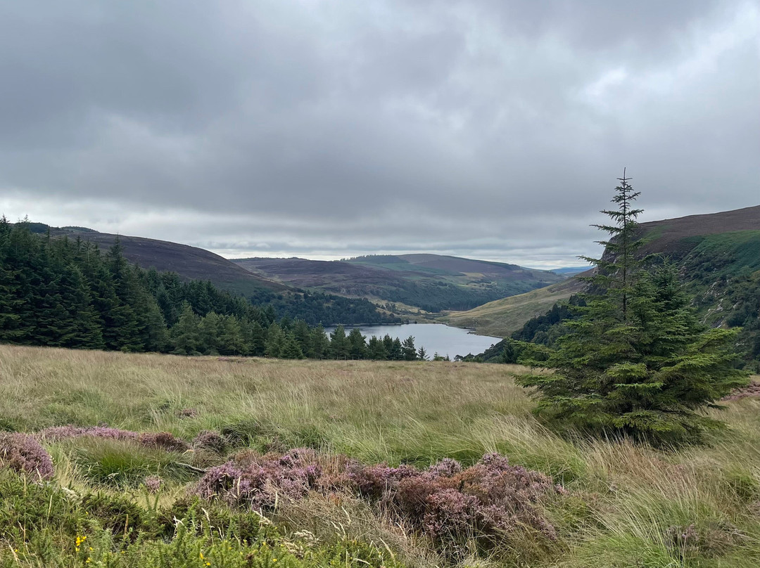 Sally Gap-Wicklow必去景点