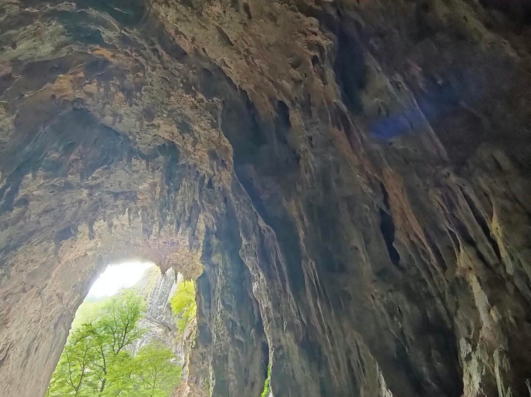 Škocjanske Jame-Skocjan必去景点