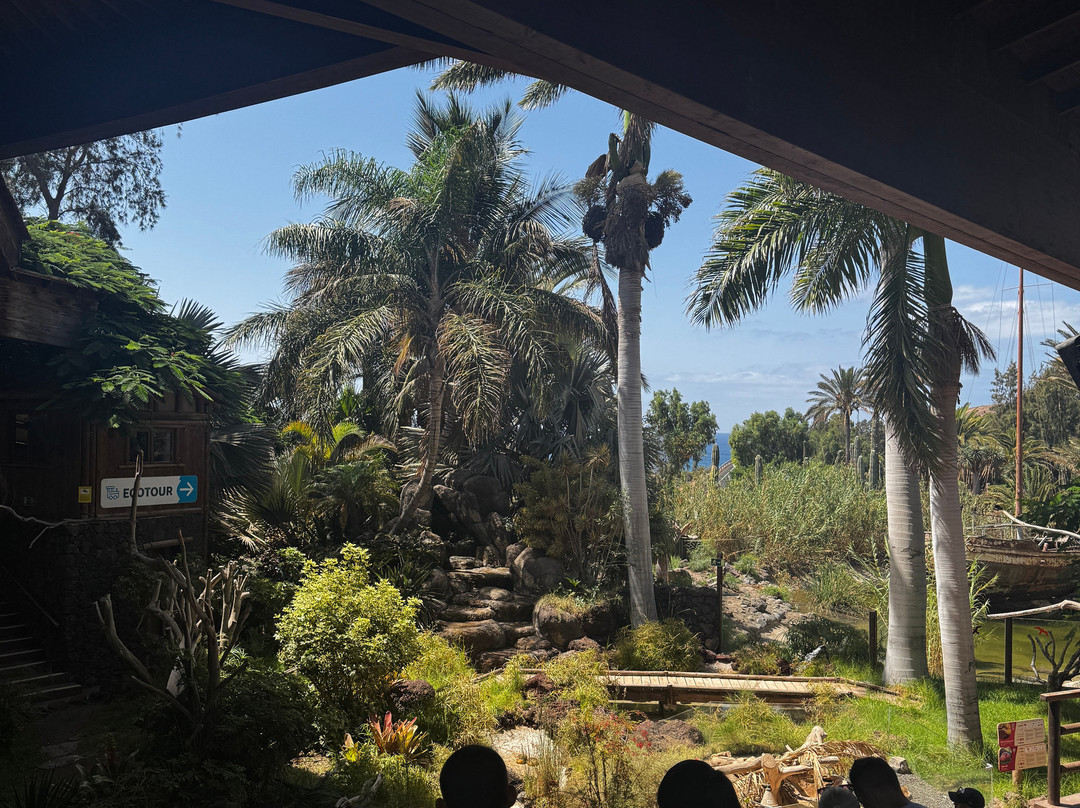 Oasis Park Fuerteventura-La Lajita必去景点