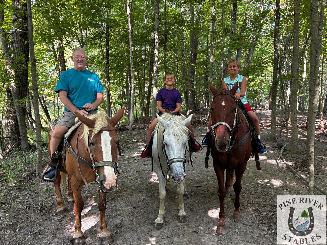 Pine River Stables