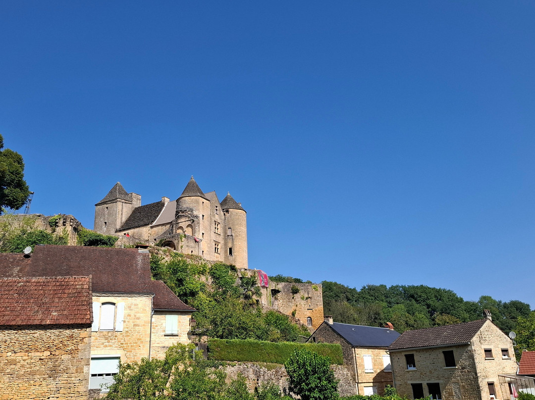 Château de Salignac-Salignac-Eyvigues必去景点