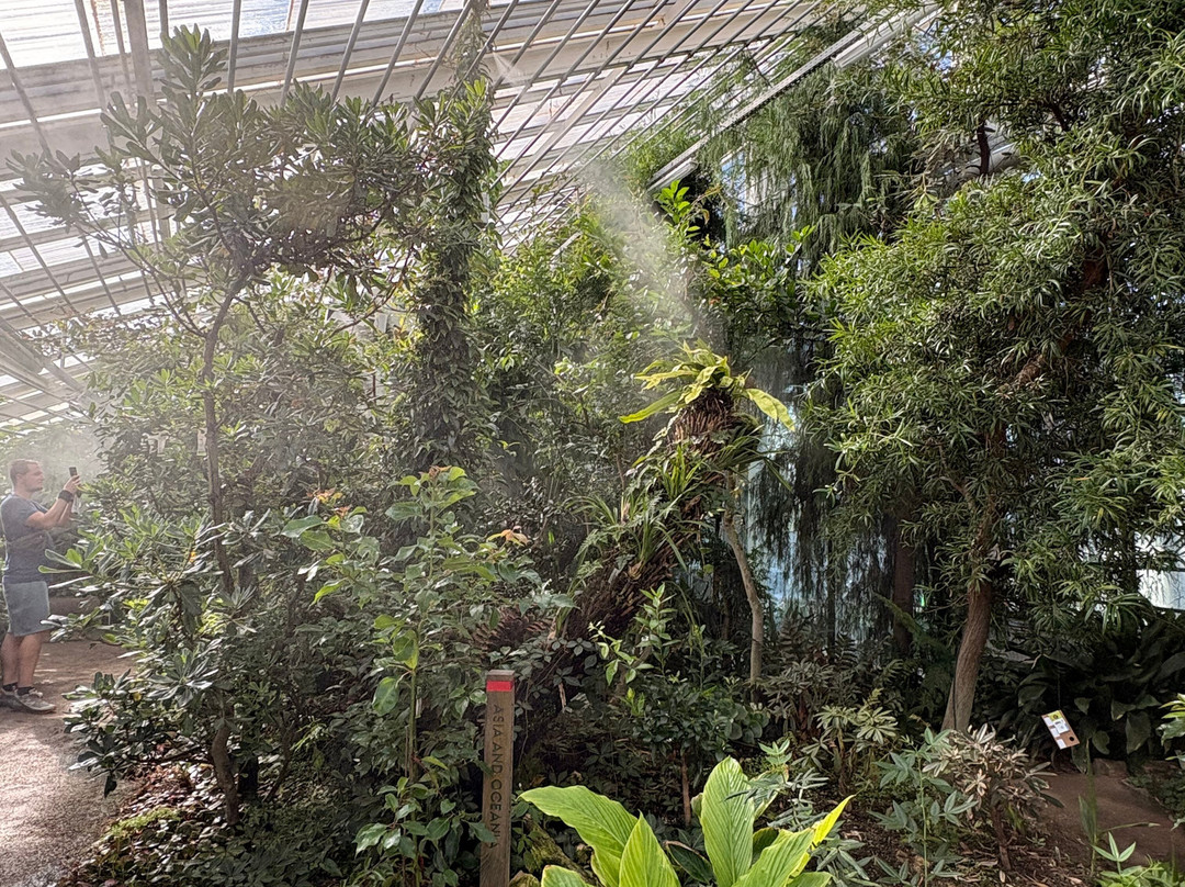 Botanical Garden and the Greenhouses-欧胡斯必去景点